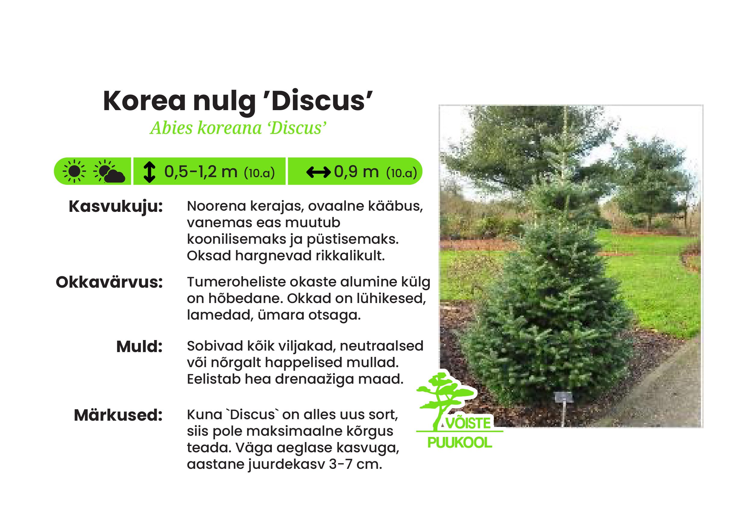 Korea nulg ’Discus’