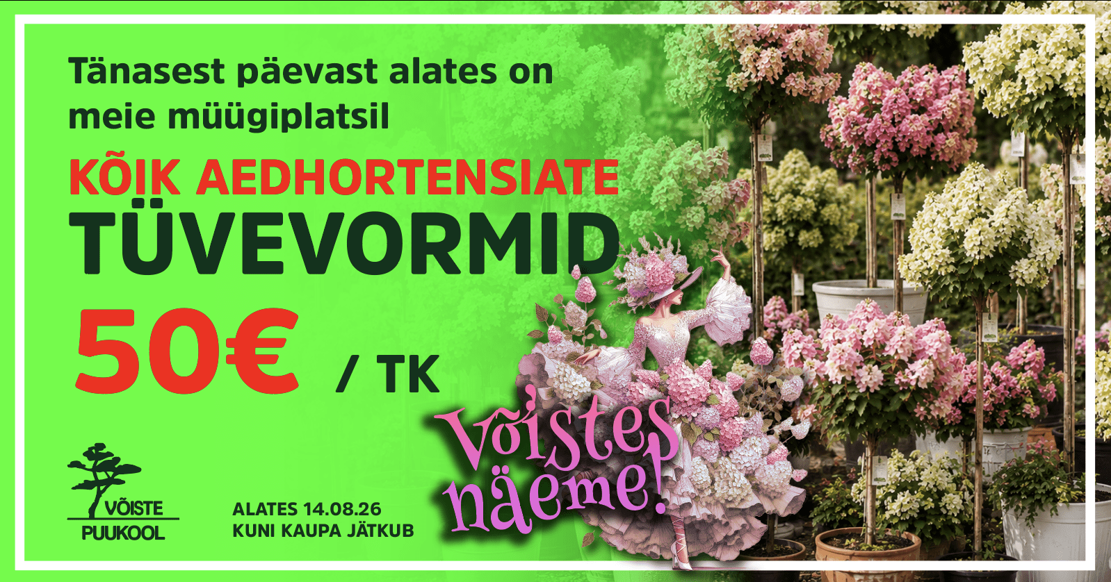 The post Kõik aedhortensia tüvevormid 50€ / tk appeared first on Võiste Puukool.